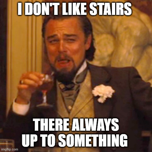 Just A Fun Joke For Hard Times :) | I DON'T LIKE STAIRS; THERE ALWAYS UP TO SOMETHING | image tagged in memes,laughing leo | made w/ Imgflip meme maker