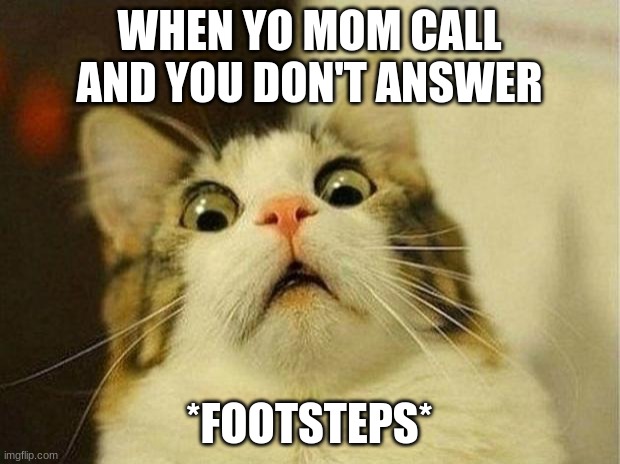 who can relate | WHEN YO MOM CALL AND YOU DON'T ANSWER; *FOOTSTEPS* | image tagged in memes,scared cat,kids,parents | made w/ Imgflip meme maker