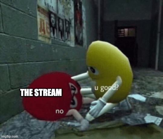 You good? | THE STREAM | image tagged in you good | made w/ Imgflip meme maker