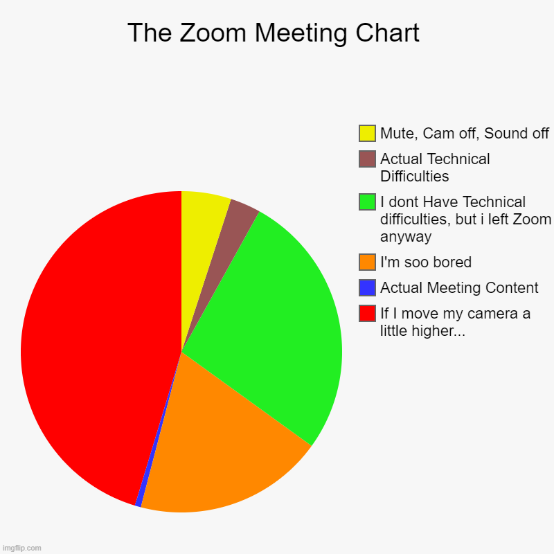 So True | The Zoom Meeting Chart | If I move my camera a little higher..., Actual Meeting Content, I'm soo bored, I dont Have Technical difficulties,  | image tagged in charts,pie charts | made w/ Imgflip chart maker