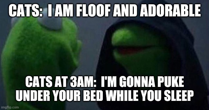 always where I can't clean | CATS:  I AM FLOOF AND ADORABLE; CATS AT 3AM:  I'M GONNA PUKE UNDER YOUR BED WHILE YOU SLEEP | image tagged in me and also me | made w/ Imgflip meme maker