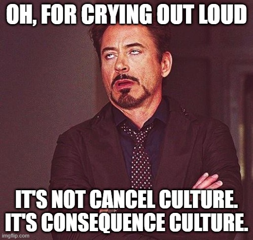 It's consequence culture | OH, FOR CRYING OUT LOUD; IT'S NOT CANCEL CULTURE.
IT'S CONSEQUENCE CULTURE. | image tagged in robert downey jr annoyed | made w/ Imgflip meme maker