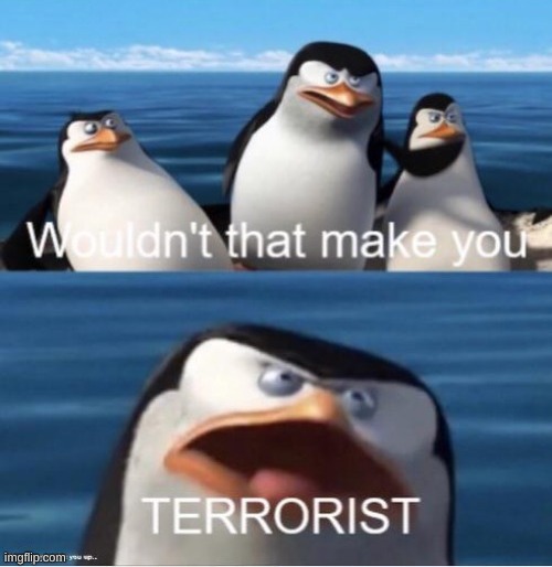 Wouldn't that make you terrorist? | image tagged in wouldn't that make you terrorist | made w/ Imgflip meme maker