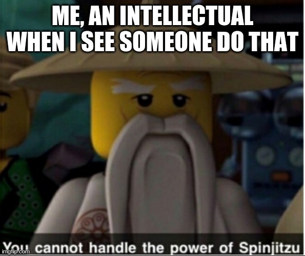 You cannot handle the power of Spinjitzu | ME, AN INTELLECTUAL WHEN I SEE SOMEONE DO THAT | image tagged in you cannot handle the power of spinjitzu | made w/ Imgflip meme maker