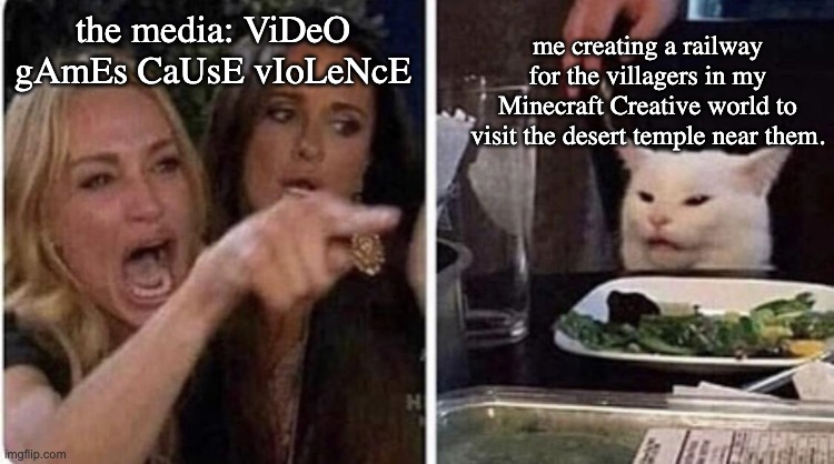 Confused Cat, screaming lady | the media: ViDeO gAmEs CaUsE vIoLeNcE; me creating a railway for the villagers in my Minecraft Creative world to visit the desert temple near them. | image tagged in confused cat screaming lady | made w/ Imgflip meme maker