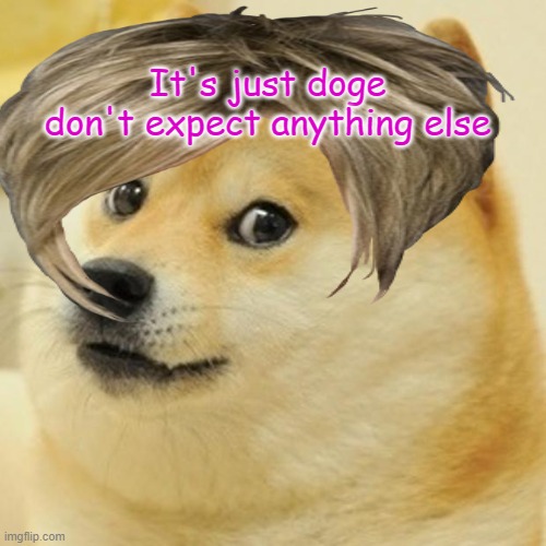 it just doge | It's just doge don't expect anything else | image tagged in doge | made w/ Imgflip meme maker
