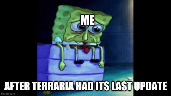 sad :( | ME; AFTER TERRARIA HAD ITS LAST UPDATE | image tagged in sad spongebob | made w/ Imgflip meme maker