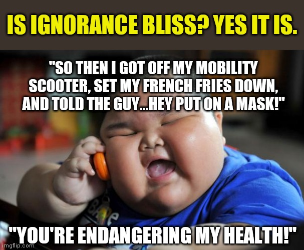 If you only knew how many activities endanger your health... | IS IGNORANCE BLISS? YES IT IS. "SO THEN I GOT OFF MY MOBILITY SCOOTER, SET MY FRENCH FRIES DOWN, AND TOLD THE GUY...HEY PUT ON A MASK!"; "YOU'RE ENDANGERING MY HEALTH!" | image tagged in fat asian kid,eating healthy,face mask | made w/ Imgflip meme maker