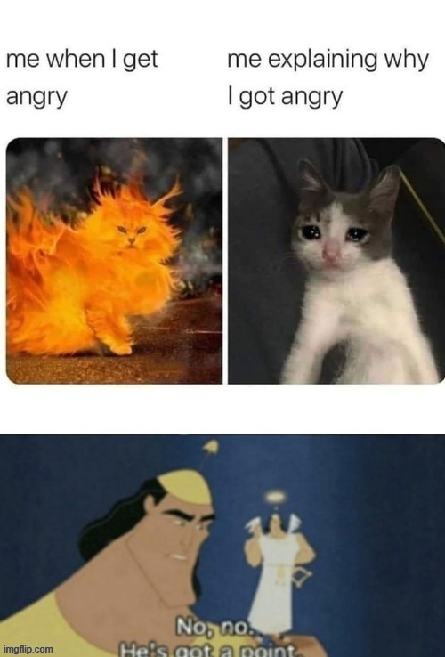 no no he's got a point | image tagged in lol | made w/ Imgflip meme maker