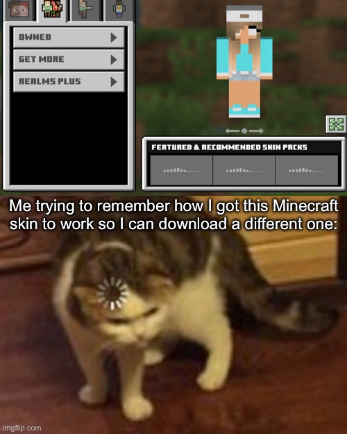 I forgot cause it’s been like a year since I played on my ipad- | Me trying to remember how I got this Minecraft skin to work so I can download a different one: | image tagged in loading cat | made w/ Imgflip meme maker