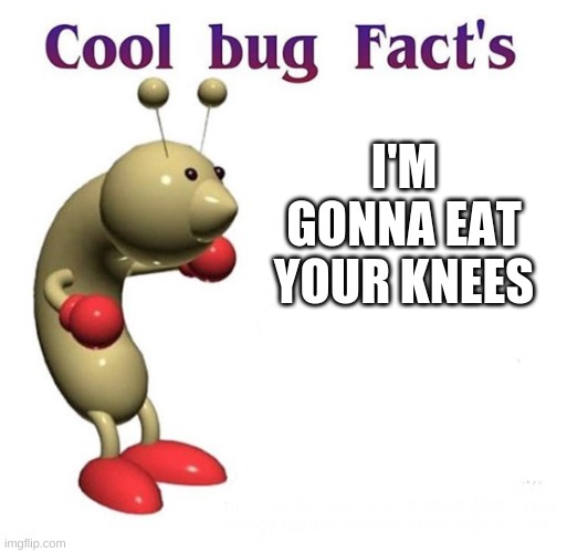 Cool Bug Facts | I'M GONNA EAT YOUR KNEES | image tagged in cool bug facts,funny memes,memes,funny,never gonna give you up,rick rolled | made w/ Imgflip meme maker