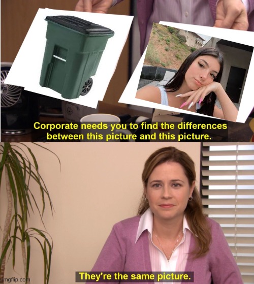 Charli = trash | image tagged in memes,they're the same picture | made w/ Imgflip meme maker