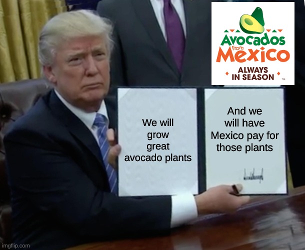 AVACADOS FROM MEXICO! | We will grow great avocado plants; And we will have Mexico pay for those plants | image tagged in memes,trump bill signing | made w/ Imgflip meme maker