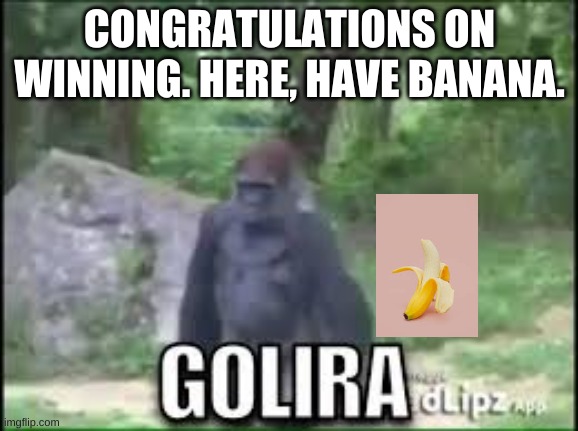 golira | CONGRATULATIONS ON WINNING. HERE, HAVE BANANA. | image tagged in golira | made w/ Imgflip meme maker