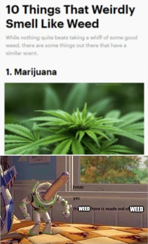 BRUH LMAOOOOOOOO | WEED; WEED | image tagged in hmm yes the floor here is made out of floor | made w/ Imgflip meme maker