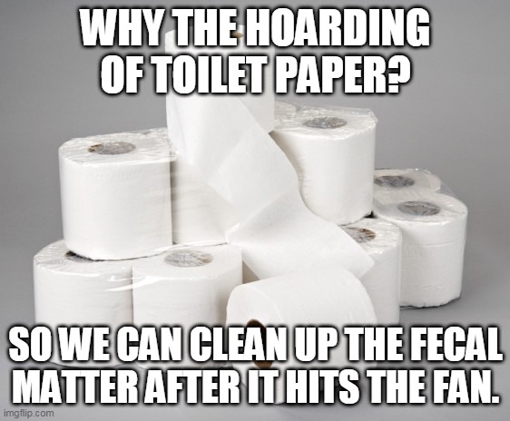 toilet paper | WHY THE HOARDING OF TOILET PAPER? SO WE CAN CLEAN UP THE FECAL MATTER AFTER IT HITS THE FAN. | image tagged in toilet paper | made w/ Imgflip meme maker