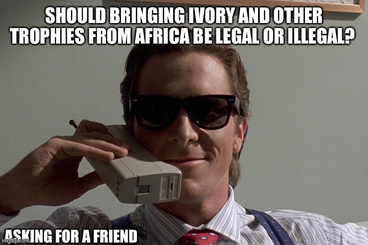American Psycho | SHOULD BRINGING IVORY AND OTHER TROPHIES FROM AFRICA BE LEGAL OR ILLEGAL? ASKING FOR A FRIEND | image tagged in american psycho | made w/ Imgflip meme maker