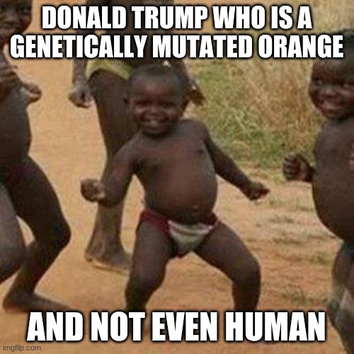 Third World Success Kid Meme | DONALD TRUMP WHO IS A GENETICALLY MUTATED ORANGE AND NOT EVEN HUMAN | image tagged in memes,third world success kid | made w/ Imgflip meme maker