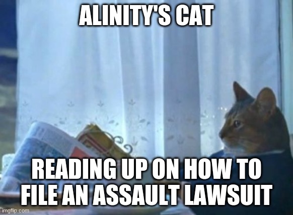 I Should Buy A Boat Cat Meme | ALINITY'S CAT READING UP ON HOW TO FILE AN ASSAULT LAWSUIT | image tagged in memes,i should buy a boat cat | made w/ Imgflip meme maker
