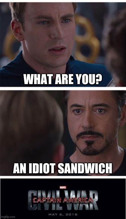 Marvel Civil War 1 Meme | WHAT ARE YOU? AN IDIOT SANDWICH | image tagged in memes,marvel civil war 1 | made w/ Imgflip meme maker