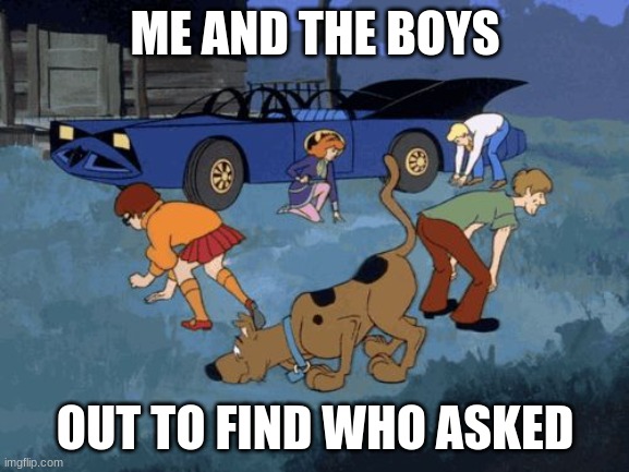 No one asked | ME AND THE BOYS; OUT TO FIND WHO ASKED | image tagged in scooby doo search | made w/ Imgflip meme maker
