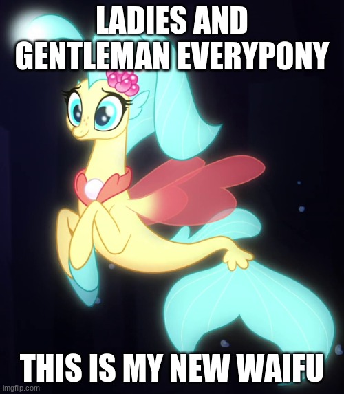  LADIES AND GENTLEMAN EVERYPONY; THIS IS MY NEW WAIFU | image tagged in princessskystar,mlp,memes,funny,waifu,my little pony friendship is magic | made w/ Imgflip meme maker