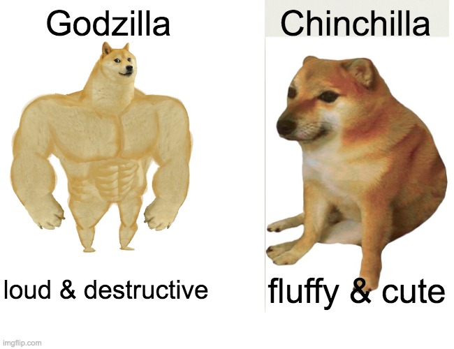 No comparison | Godzilla; Chinchilla; loud & destructive; fluffy & cute | image tagged in memes,buff doge vs cheems,cute,cheems | made w/ Imgflip meme maker