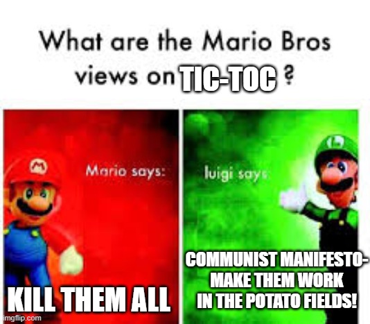 Mario Brothers Veiws | TIC-TOC; KILL THEM ALL; COMMUNIST MANIFESTO- MAKE THEM WORK IN THE POTATO FIELDS! | image tagged in mario brothers veiws | made w/ Imgflip meme maker
