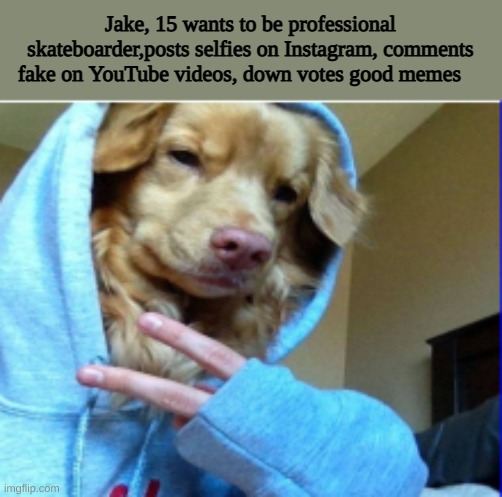 Jake | Jake, 15 wants to be professional skateboarder,posts selfies on Instagram, comments fake on YouTube videos, down votes good memes | image tagged in jake,dog,cool | made w/ Imgflip meme maker