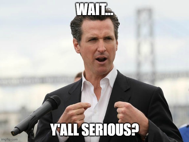 Leader Of Gov. Newsom Recall Effort Announces They've Collected The Required 1.5 Million Signatures | WAIT... Y'ALL SERIOUS? | image tagged in gavin newsome | made w/ Imgflip meme maker