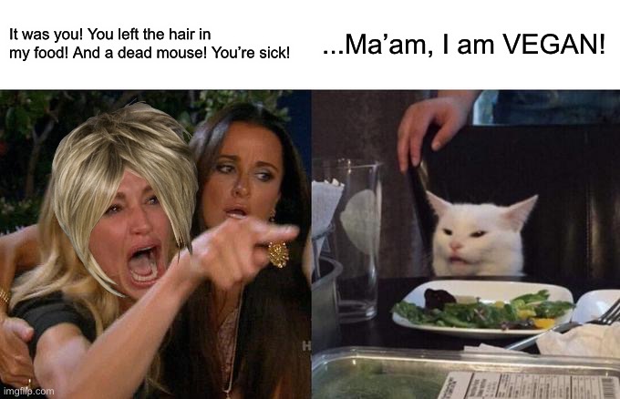 Karen screams at Vegan Cat... |  It was you! You left the hair in my food! And a dead mouse! You’re sick! ...Ma’am, I am VEGAN! | image tagged in memes,woman yelling at cat | made w/ Imgflip meme maker