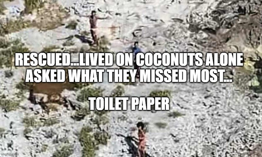 Island Rescue | RESCUED...LIVED ON COCONUTS ALONE
ASKED WHAT THEY MISSED MOST... TOILET PAPER | image tagged in toilet paper,rescue,lost | made w/ Imgflip meme maker