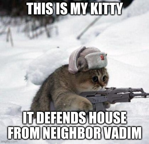 Cute Sad Soviet War Kitten | THIS IS MY KITTY; IT DEFENDS HOUSE FROM NEIGHBOR VADIM | image tagged in cute sad soviet war kitten | made w/ Imgflip meme maker