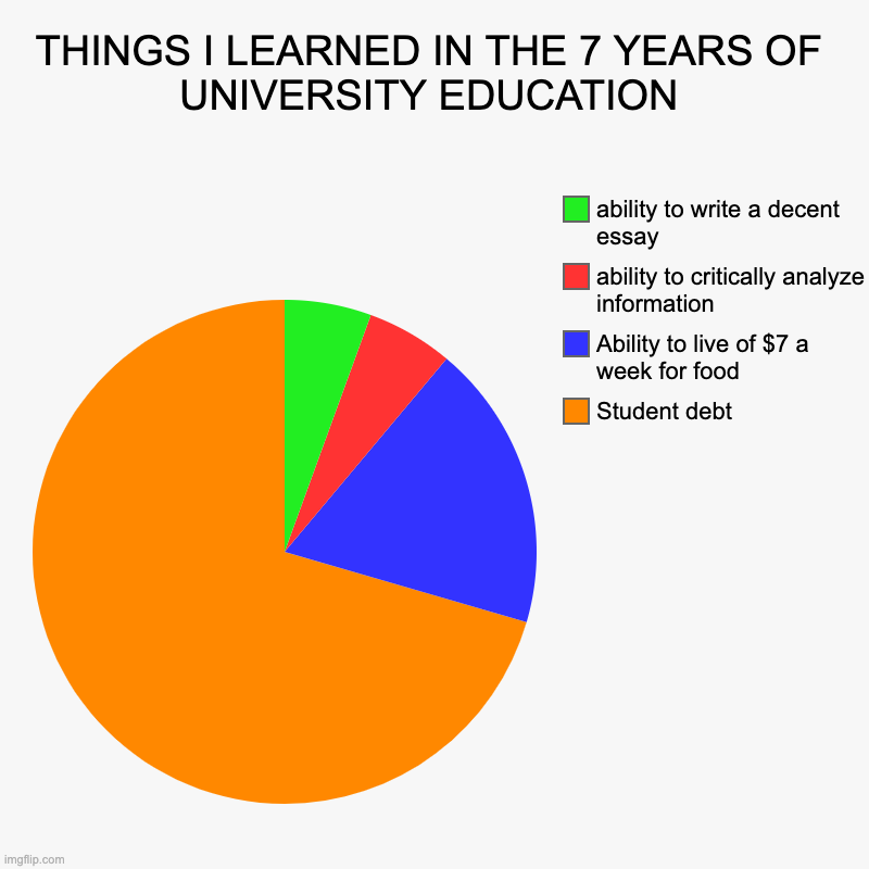 THINGS I LEARNED IN THE 7 YEARS OF UNIVERSITY EDUCATION | Student debt , Ability to live of $7 a week for food , ability to critically analy | image tagged in charts,pie charts,school,university,student life,lol so funny | made w/ Imgflip chart maker