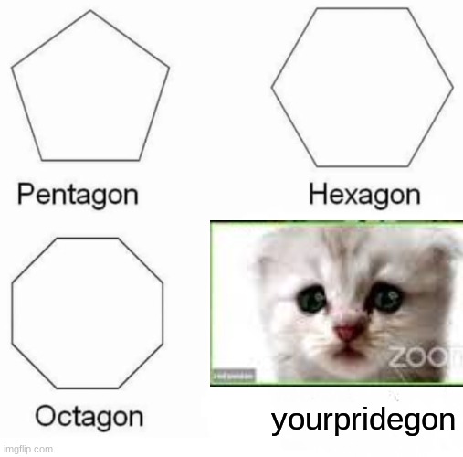 wouldn't want to be him! | yourpridegon | image tagged in memes,pentagon hexagon octagon | made w/ Imgflip meme maker