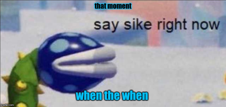 Say sike right now | that moment; when the when | image tagged in say sike right now | made w/ Imgflip meme maker