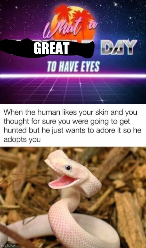 cute snek | GREAT | image tagged in what a terrible day to have eyes | made w/ Imgflip meme maker