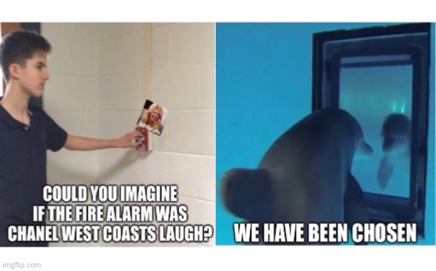image tagged in dolphin,mirror mirror,fire alarm,mtv,laughter,annoying people | made w/ Imgflip meme maker