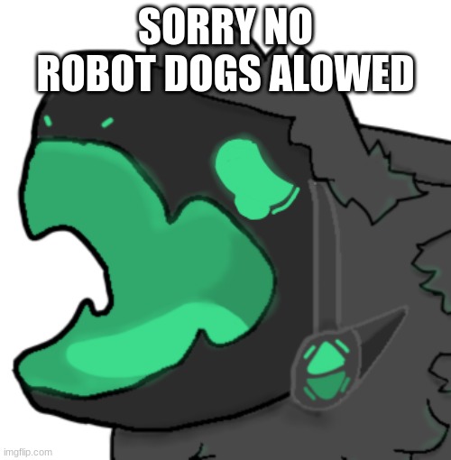 you know the rules | SORRY NO ROBOT DOGS ALOWED | image tagged in protogen cri | made w/ Imgflip meme maker