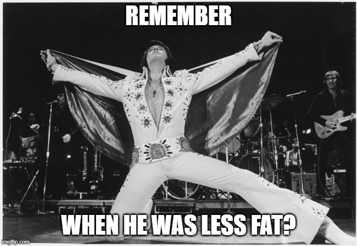 Fat elvis | REMEMBER; WHEN HE WAS LESS FAT? | image tagged in elvis | made w/ Imgflip meme maker