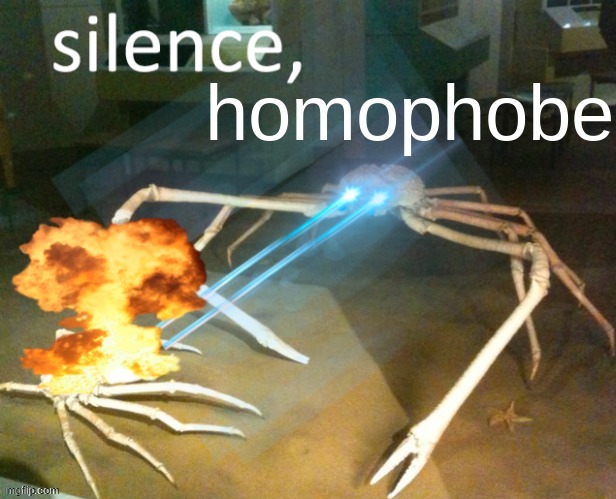 [credit to The_Beez_Kneez] | image tagged in silence homophobe,silence crab,crab,silence,homophobe,new template | made w/ Imgflip meme maker