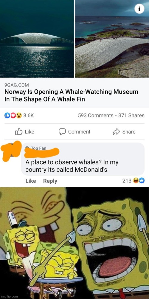 so true | image tagged in memes,funny,comments,lmao,whales,mcdonalds | made w/ Imgflip meme maker