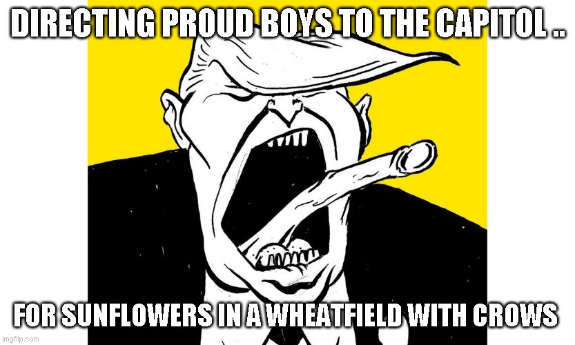 Charles V | DIRECTING PROUD BOYS TO THE CAPITOL .. FOR SUNFLOWERS IN A WHEATFIELD WITH CROWS | image tagged in charles v | made w/ Imgflip meme maker