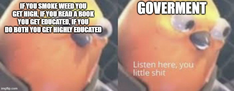 The truth | GOVERMENT; IF YOU SMOKE WEED YOU GET HIGH, IF YOU READ A BOOK YOU GET EDUCATED, IF YOU DO BOTH YOU GET HIGHLY EDUCATED | image tagged in listen here you little shit bird,funny,funny memes,government,funny meme,lol | made w/ Imgflip meme maker