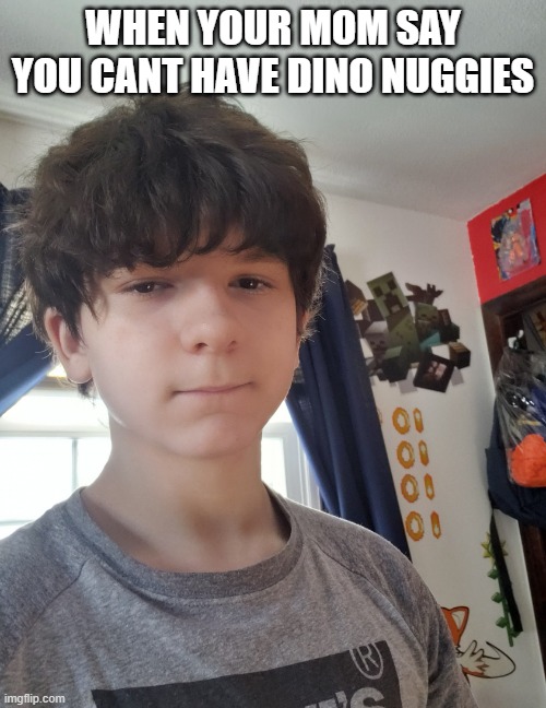 DINO NUGGIES NOW | WHEN YOUR MOM SAY YOU CANT HAVE DINO NUGGIES | image tagged in jonathaninit | made w/ Imgflip meme maker