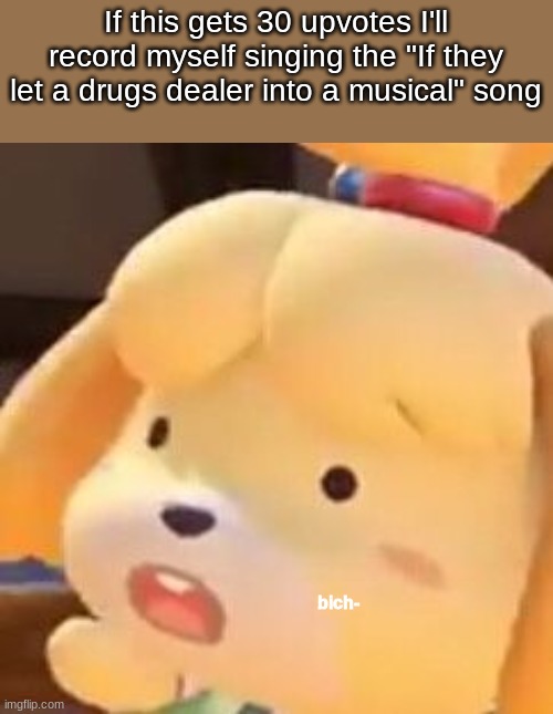 N o o n e u p v o t e o r I b r e a k y o u r n i c o n i c o k n e e c a p s | If this gets 30 upvotes I'll record myself singing the "If they let a drugs dealer into a musical" song | image tagged in bich- | made w/ Imgflip meme maker