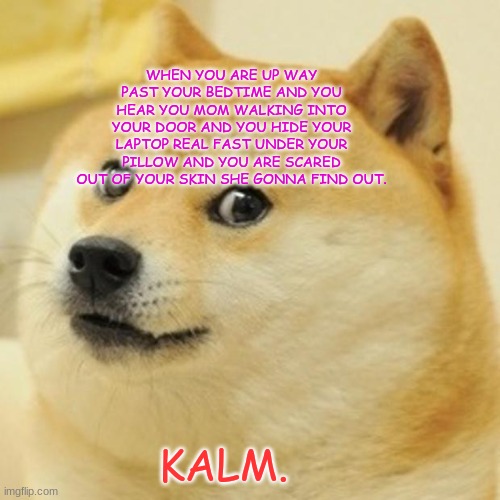 Doge | WHEN YOU ARE UP WAY PAST YOUR BEDTIME AND YOU HEAR YOU MOM WALKING INTO YOUR DOOR AND YOU HIDE YOUR LAPTOP REAL FAST UNDER YOUR PILLOW AND YOU ARE SCARED OUT OF YOUR SKIN SHE GONNA FIND OUT. KALM. | image tagged in memes,doge | made w/ Imgflip meme maker