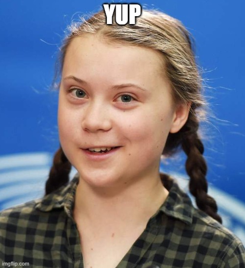 Greta Thunberg | YUP | image tagged in greta thunberg | made w/ Imgflip meme maker