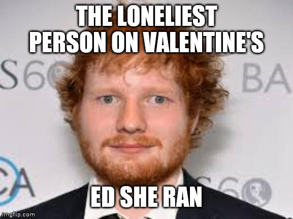 Lol | THE LONELIEST PERSON ON VALENTINE'S; ED SHE RAN | image tagged in derpy ed sheeran | made w/ Imgflip meme maker
