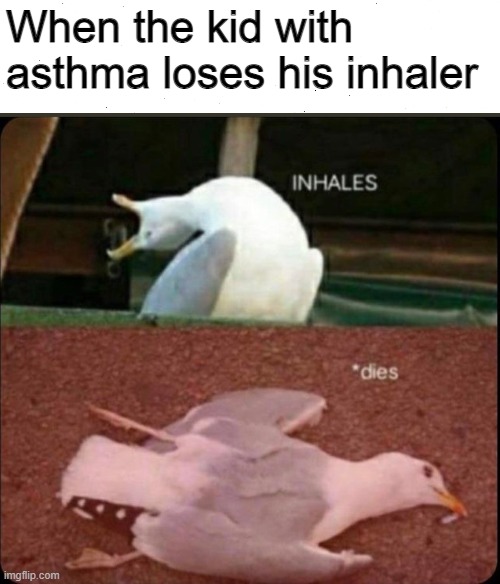 inhales dies bird | When the kid with asthma loses his inhaler | image tagged in inhales dies bird | made w/ Imgflip meme maker